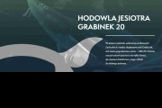 Hodowla Jesiotra Grabinek 20