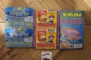 = BLISTRY MIX IV =  Cichliden Mix, Malawi Mix, Tanganika Mix, etc.