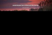 Gospodarstwo rybackie Miłosław