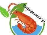 Hodowla krewetek - Shrimpmania.pl