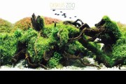DISKUS ZOO