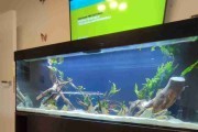 Servis Akwarystyczny