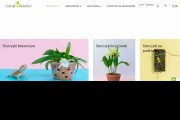 SALON ORCHIDEI