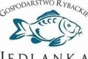 Gospodarstwo rybackie Jedlanka
