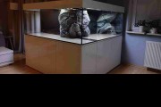 Custom cabinet.