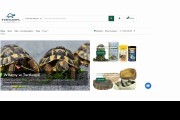 TURTLES.PL