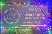 Gospodarstwo rybackie MARAD