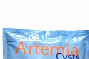 Oryginalna Artemia do wylęgu Koral cysts 550g 80%