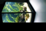 Akwarium panoramiczne  112 z życiem