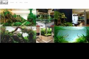 AQUADESIGN