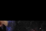 Galaxy metalic mix