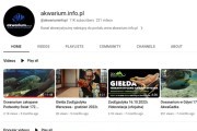 akwarium.info.pl
