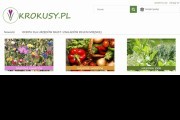KROKUSY.PL