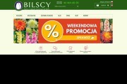 BILSCY