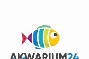 AKWARIUM24.PL - Akwarystyka i Oczko wodne