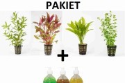 PAKIET Rośliny akwariowe 5xKOSZYK+Nawozy DIM 3x500ml