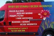Ryby do stawu