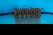 Tropheus Black Bemba Tanganika Malawi
