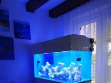 Szafka akwarystyczna - idealne rozwiązanie dla Twojego akwarium.