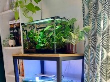 cabinets, frames, shelves, covers, ready-made aquarium sets