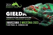 ZooEgzotyka Warszawa 03.09.2023 AD [10:00 - 16:00]