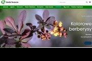 SZKÓŁKI KONIECZKO