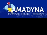 AMADYNA