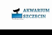 AKWARIUM SZCZECIN