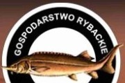 Gospodarstwo rybackie Wąsosze