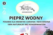 Pieprz Wodny - 200g pałeczki. Pokarmy dla krewetek - BORzoo
