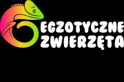 Egzotyczne Zwierzęta
