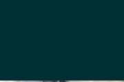 Naturalne korzenie do akwarium