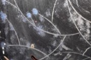 Mini aranżacja do akwarium Bucephalandra Silver Po
