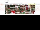IRYS