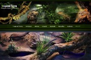 TROPICAL TERRA