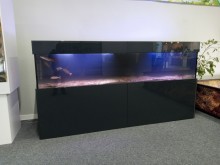 CUSTOM CABINET
