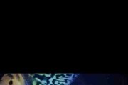 Red blue Tiger King Cobra