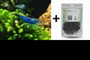 PAKIET 20szt Krewetek Blue Velvet + Pokarm Pokrzywa DIM 30g