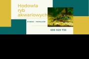 Ryby do akwarium - hodowla