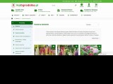 RajOgrodnika.pl