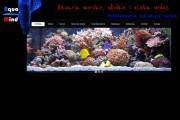 AQUAMIND