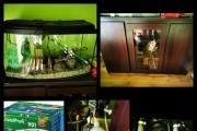 akwarium 112L+filtr JBL+system Co2+lampa UV