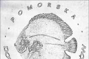 Pomorska Hodowla Dyskowców - Gościcino Andrzej Bornowski