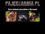 PAJĘCZARNIA