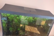 Akwarium 105 l z osprzętem i szafką. (Licytacja)