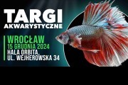 ZooEgzotyka Wrocław 15.12.2024 AD [10:00 - 16:00]