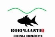 Hodowla i rozród ryb "Robplaantiq"
