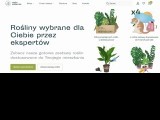 MAŁA SZKLARNIA