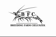 BREEDING FARM CIELUSZEK - BORZOO - gospodarstwo rolne