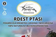 Rdest ptasi - 60g pałeczki. Pokarmy dla krewetek - BORzoo